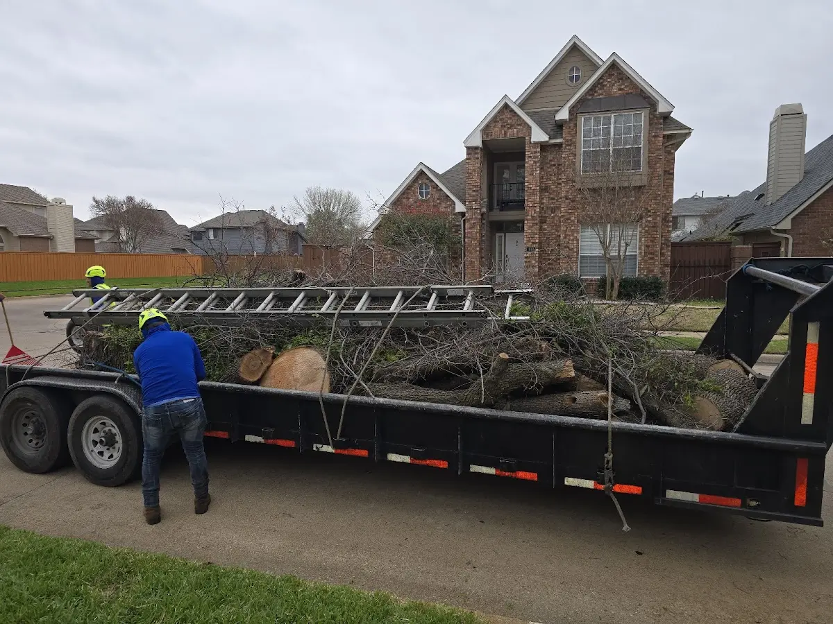 Expert Tree Fertilization with proper safety equipment in Barnet